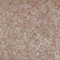 Ковролин Hidden Treasure Beaulie of America Blond Ash 18 фото  | FLOORDEALER