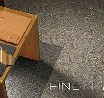 Finett Accent