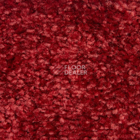 Balsan Sweet Dreams 560 фото 2 | FLOORDEALER