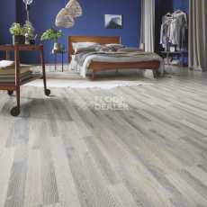 Kronotex Dynamic Plus d3066 Дуб Серебряный фото 3 | FLOORDEALER