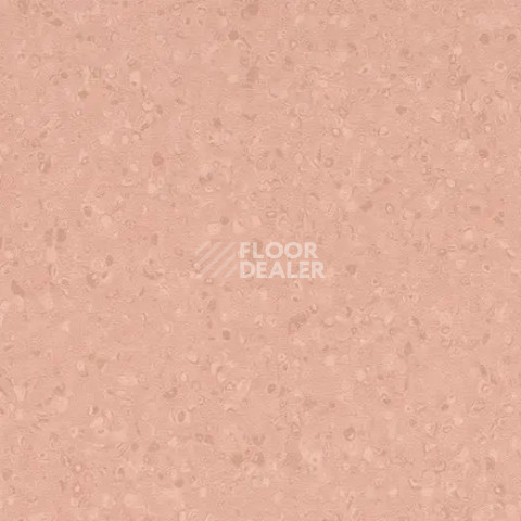 Линолеум Forbo Sphera Element 50073 peach фото 1 | FLOORDEALER