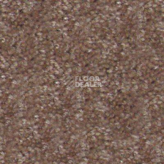 Ковролин Hidden Treasure Beaulie of America Rich Taupe 05 фото 1 | FLOORDEALER
