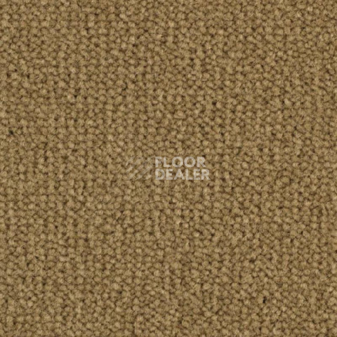 Ковролин Balsan Luxe 653 фото 1 | FLOORDEALER