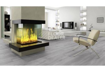 Kronotex Mammut Plus d3670 Дуб Макро Светло-серый фото 3 | FLOORDEALER