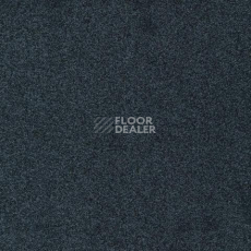 Ковролин Gleam W2W 569 Gleam w2w фото 1 | FLOORDEALER