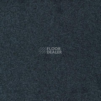 Ковролин Gleam W2W 569 Gleam w2w фото 1 | FLOORDEALER