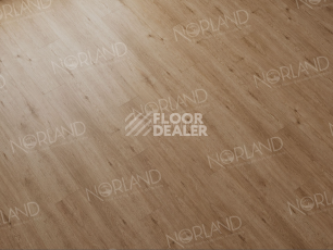 Norland Sigrid  LVT 2мм Abbi 1003-1 фото 2 | FLOORDEALER