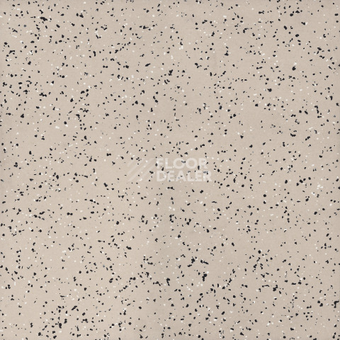 Линолеум Tarkett iq Era sc 804 фото 1 | FLOORDEALER