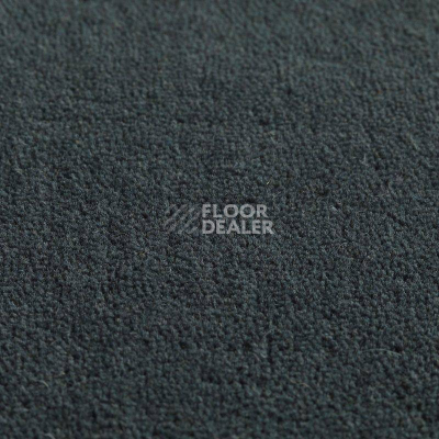 Ковролин Jacaranda Carpets Jaspur Woad фото 1 | FLOORDEALER