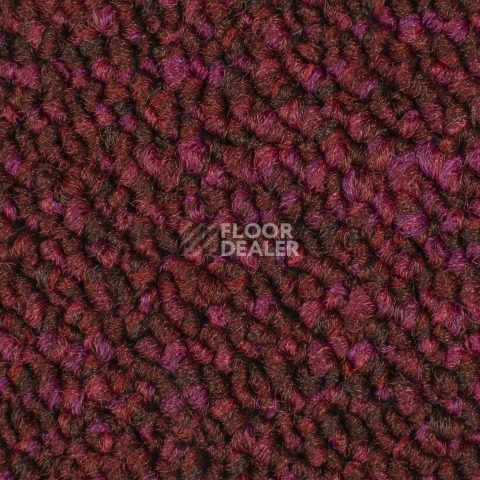 Desso Desert 4118 фото 2 | FLOORDEALER