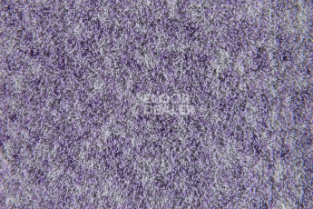 Forbo Flotex Colour s 482027 Penang Orchid фото 3 | FLOORDEALER