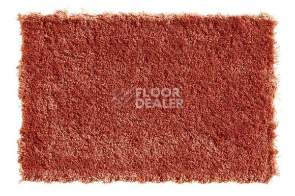 Ковролин Balta Wild Luxury Teddy 65 фото 1 | FLOORDEALER