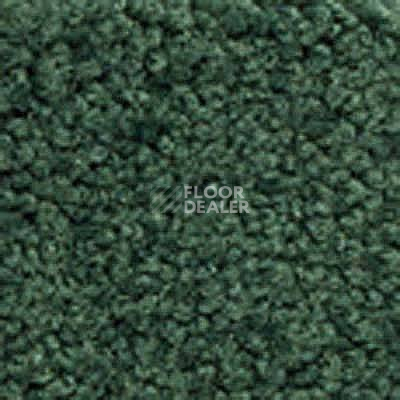 Ковролин Girloon Body1 471 фото 1 | FLOORDEALER