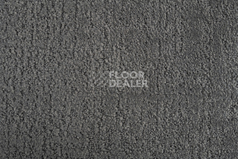 AW Tulle / Тюль 94 Silver фото 2 | FLOORDEALER