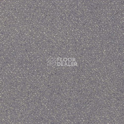 Ковролин Sintelon Orion 10339 фото 1 | FLOORDEALER