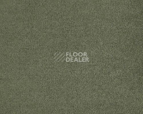 Ковролин Lano Lior 610 Ivy фото 1 | FLOORDEALER