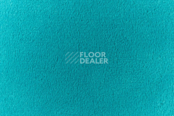Ковролин Vorwerk Passion 1000/Modena Vorwerk 3n58 фото 1 | FLOORDEALER