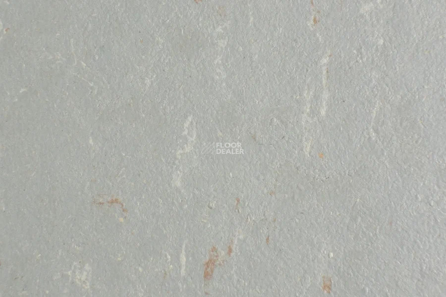 Forbo Marmoleum Solid Piano 3601-360135 warm grey фото 2 | FLOORDEALER