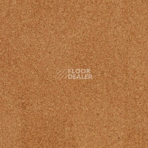 Cork Go GA01002   Moment фото 1 | FLOORDEALER