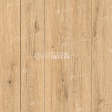 Ламинат Classen Arteo 8 M 62757 Дуб Намиб фото 1 | FLOORDEALER