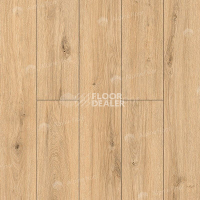 Ламинат Classen Arteo 8 M 62757 Дуб Намиб фото 1 | FLOORDEALER