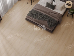 Norland Elegant Strong 12мм Дуб Дол LF302-03 фото 2 | FLOORDEALER
