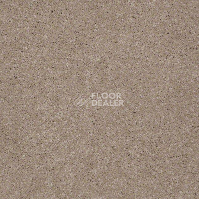 Ковролин Shaw Design Texture Platinum 701 фото 1 | FLOORDEALER
