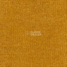 Ковролин Дюна Тафт Venetto 821 фото 1 | FLOORDEALER