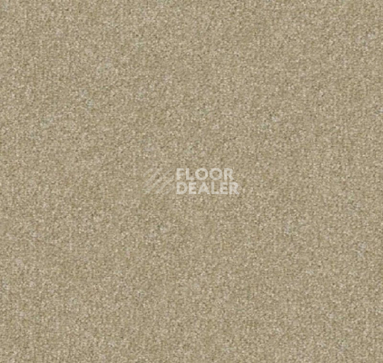 Ковролин Apoluza Send 1000 Send 1000 фото 1 | FLOORDEALER