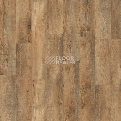 Кварцвиниловые полы Moduleo Roots 0.55 EIR дерево COUNTRY OAK 54852Q фото 1 | FLOORDEALER