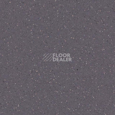 Линолеум Tarkett Zenit 706 фото 1 | FLOORDEALER