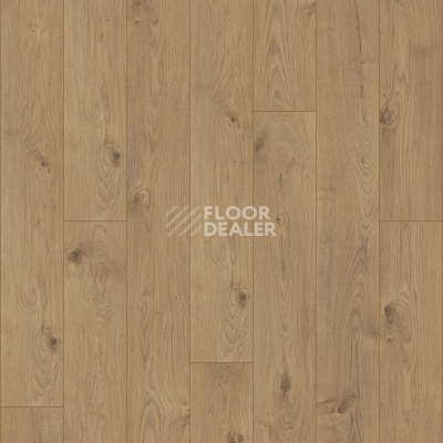 Ламинат Kronotex Mammut d4152 Дуб Эверест Натуральный фото 5 | FLOORDEALER