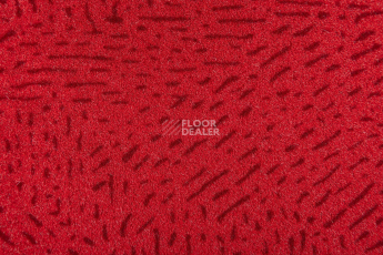 Vertigo Dot 1620 180 фото 2 | FLOORDEALER