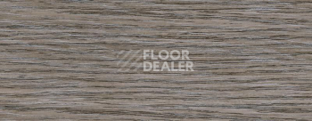 Плинтус Dollken EP 60/13 2575 фото 2 | FLOORDEALER