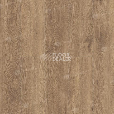 Кварцвиниловые полы Alpine Floor Grand Sequoia (1220x183) ГРАНД СЕКВОЙЯ ГЕВУИНА ECO 11-7 фото 1 | FLOORDEALER