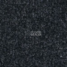 Ковролин Balsan Bolero roll 999 фото 1 | FLOORDEALER