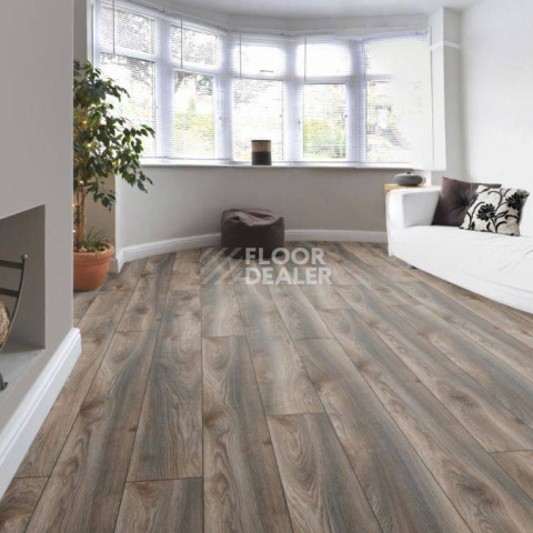 Kronotex Mammut Plus d4792 Дуб Серый Макро фото 5 | FLOORDEALER
