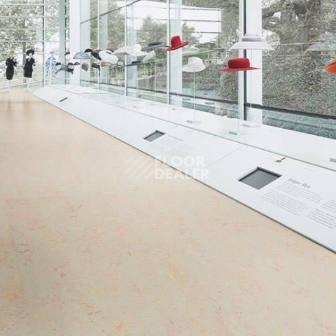 Forbo Marmoleum Decibel on Order 325735 edelweiss фото 2 | FLOORDEALER