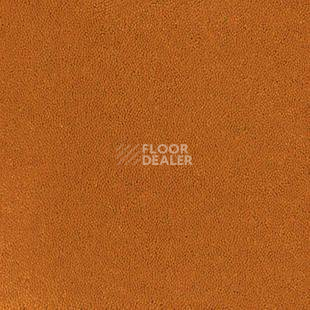 Ковролин Desso Asteranne 5101 фото 1 | FLOORDEALER