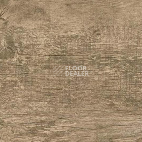 Пробковое покрытие Wood OAK ANTIQUE фото 1 | FLOORDEALER