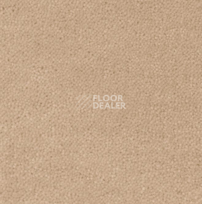 Ковролин Creatuft Sheba 1764 фото 1 | FLOORDEALER