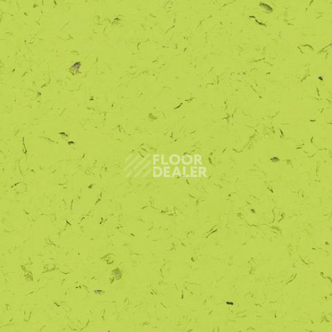 Кварцвиниловые полы Forbo Allura Colour C68025 фото 1 | FLOORDEALER