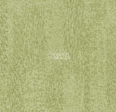 Ковровая плитка Forbo Flotex Colour Penang 50*50 t 382006 Penang Sage фото 1 | FLOORDEALER