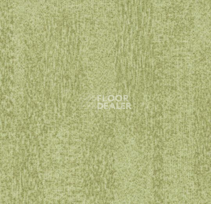 Ковровая плитка Forbo Flotex Colour Penang 50*50 t 382006 Penang Sage фото 1 | FLOORDEALER