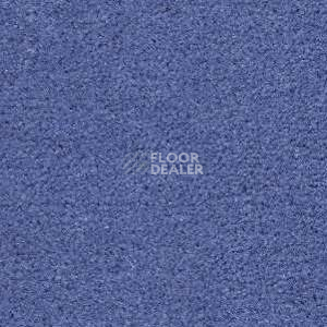 Ковролин Radici Montecarlo 98 фото 1 | FLOORDEALER