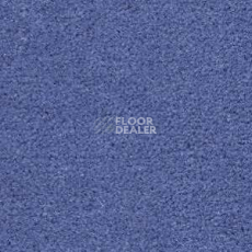 Ковролин Radici Montecarlo 98 фото 1 | FLOORDEALER
