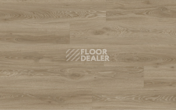 Moduleo Next Acoustic дерево VISTA OAK 450 BO фото 4 | FLOORDEALER