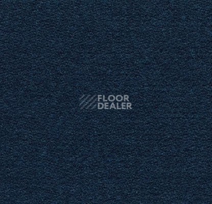 Ковролин Forbo Flotex wonderlab 07 900277 Indigo фото 1 | FLOORDEALER