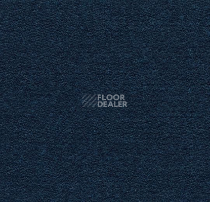Ковролин Forbo Flotex wonderlab 07 900277 Indigo фото 1 | FLOORDEALER
