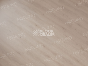 Norland Sigrid  LVT 2мм Alante 1003-5 фото 3 | FLOORDEALER